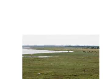 Rannaniit #7