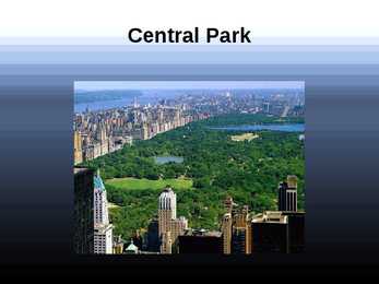 New york #8