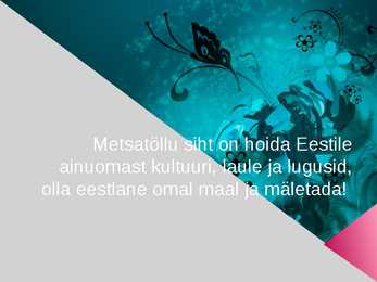 Metsatöll #8