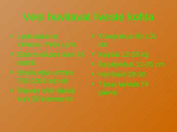 Ilves #7