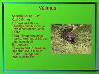 Euroopa naarits #3