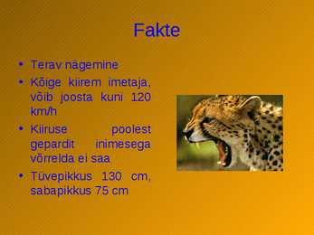 Gepard #8