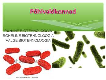 Bakterite biotehnoogiline kasutamine #4