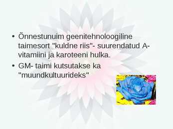 Geneetiliselt muundatud organismid ehk GMO #15