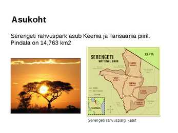 Serengeti rahvuspark #2