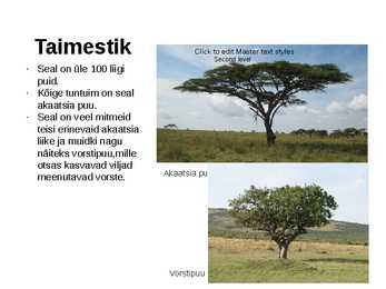 Serengeti rahvuspark #4