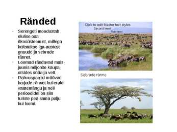 Serengeti rahvuspark #7