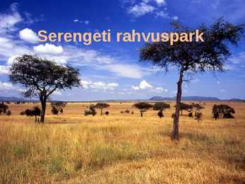 Serengeti rahvuspark