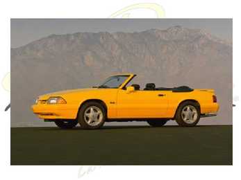 MUSTANG #11
