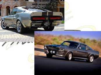 MUSTANG #13