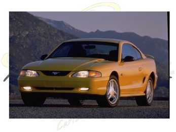 MUSTANG #14