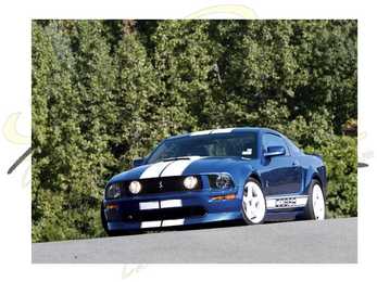 MUSTANG #16