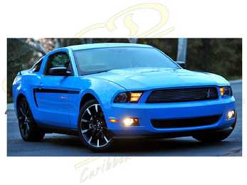 MUSTANG #17