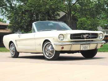 MUSTANG #4