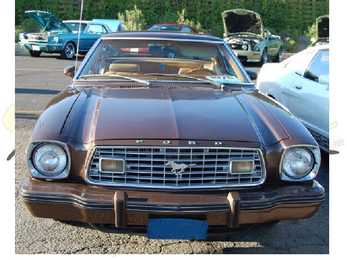 MUSTANG #7