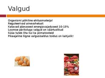 Nimetu #8