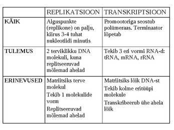 REPLIKATSIOON-TRANSKRIPTSIOON-TRANSLATSIOON #15