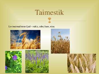 Teraviljapõld-mahekasutus-viljavaheldus #5