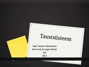 Taustsüsteem