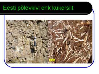 Põlevkivi #5