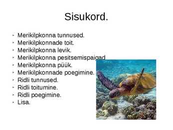 Merikilpkonnad #2