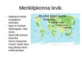 Merikilpkonnad #5