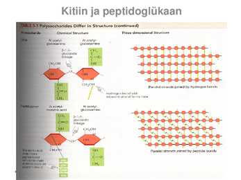Sahhariidid ja nendega seonduv #11