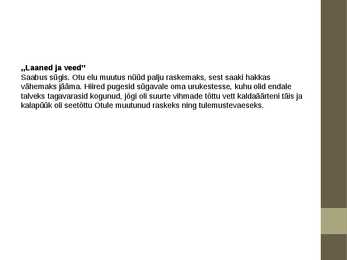 Richard Johannes Roht #13