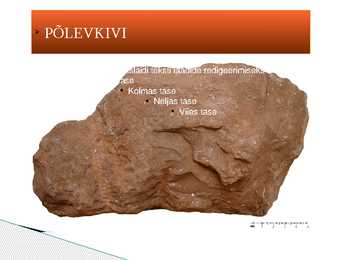 Eesti kivimid PowerPoint #11
