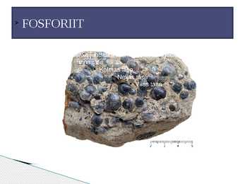 Eesti kivimid PowerPoint #23