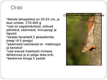 Eesti pisiimetajad #3