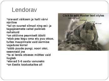 Eesti pisiimetajad #4