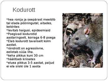 Eesti pisiimetajad #8