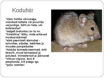 Eesti pisiimetajad #9