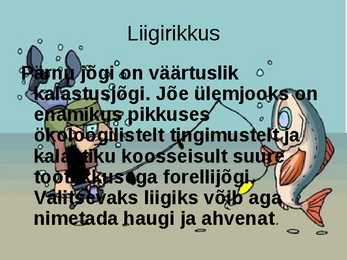 Pärnu jõgi - esitlus #2