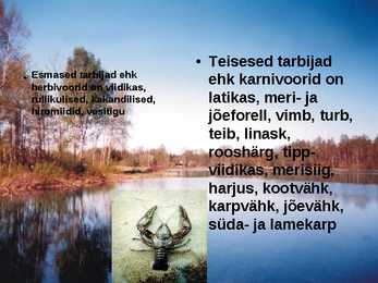 Pärnu jõgi - esitlus #11