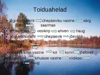 Pärnu jõgi - esitlus #13