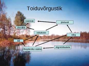 Pärnu jõgi - esitlus #14