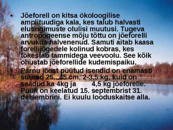 Pärnu jõgi - esitlus #16