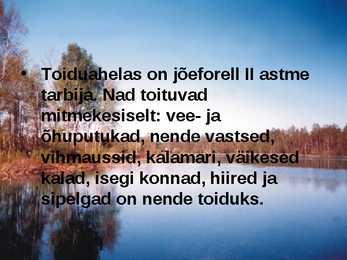 Pärnu jõgi - esitlus #17