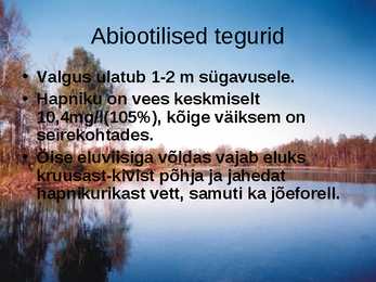 Pärnu jõgi - esitlus #4