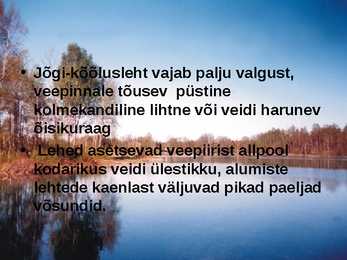 Pärnu jõgi - esitlus #5