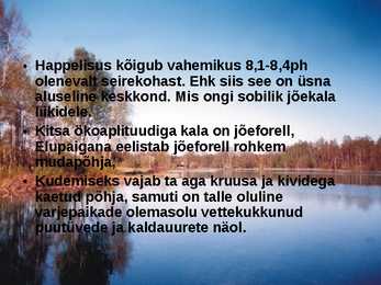 Pärnu jõgi - esitlus #6