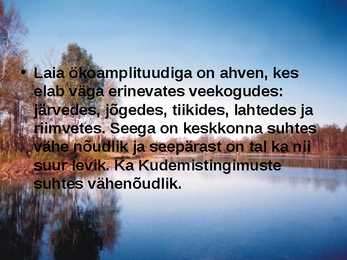 Pärnu jõgi - esitlus #7