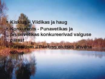 Pärnu jõgi - esitlus #9