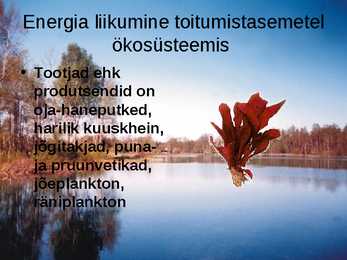 Pärnu jõgi - esitlus #10