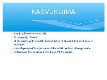 PÄEVALILL-esitlus koos tähtsama infoga #3