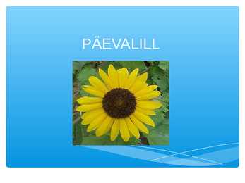 PÄEVALILL-esitlus koos tähtsama infoga