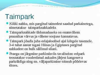 Nahkade töötlemine ettekanne #11
