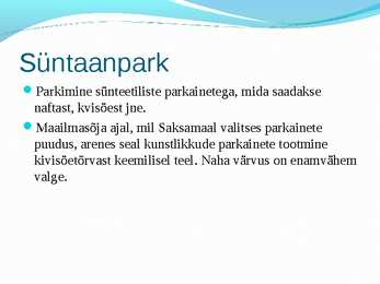 Nahkade töötlemine ettekanne #13